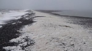 Море Лаптевых.