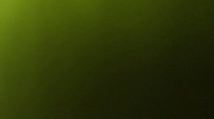 Рыбалка у АЭС Удомля. Ночные приключения.