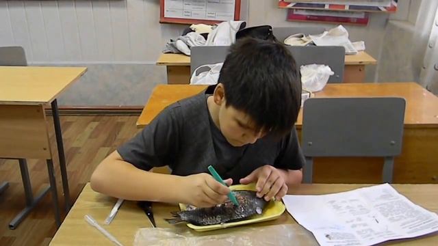 moov atom Юзикеев Свежесть Рыбы- код -011 смотреть онлайн