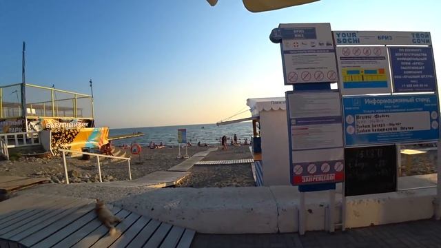 ХОСТА ПЛЯЖ БРИЗ : ОТДЫХ В ХОСТЕ : ПЛЯЖИ В ХОСТЕ : #хоста
