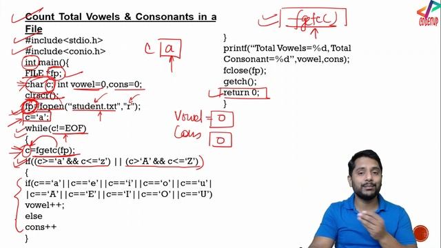 Count Total Number of Vowels & Consonants in a File | File Handling in C | In Hindi смотреть онлайн