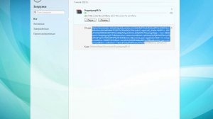 Скачиваем файл через Download Master c Яндекс Диска.Через любой браузер.