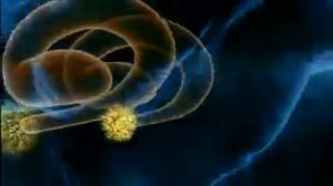 BBC: "Разум человека (Лабиринты мозга) Заводим друзей"