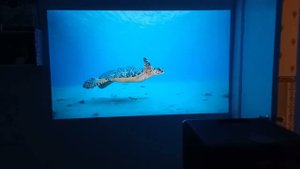 Проектор Zodikam Z02 LED 1280×720
