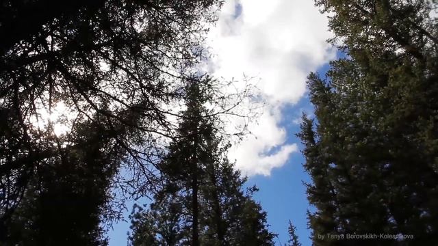 НЕОБЫКНОВЕННАЯ КРАСОТА Алтай Река Менка. смотреть онлайн