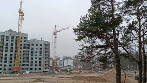 Пятница. Утро. Застройка микрорайона Фолюш. Работа башенных кранов КБ 401. Таймлапс. Часть 14.