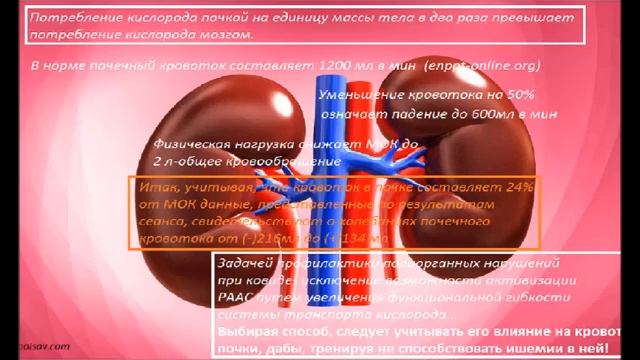 SARS-COV-2_Ковид_Профилактика тяжести течения и последствий.mp4