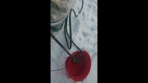 ΠΡΠΎΠΌΡΠ²ΠΊΠ° ΠΏΠ΅ΡΠΊΠΈ , Π½ΠΈΡΡΠ°Π½ ΠΏΡΠΈΠΌΡΠ΅ΡΠ° p12