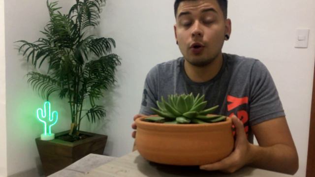 Replantando em vaso de barro. смотреть онлайн