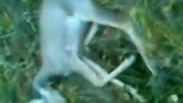 охота в еманжелинске №1 смотреть онлайн