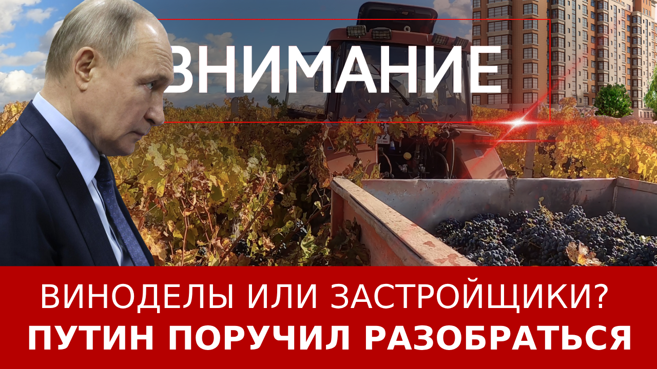 Виноделы или застройщики? Путин поручил разобраться