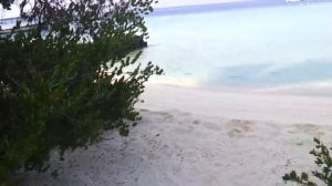 Мальдивы  Отель embudu vilage, не ошибись