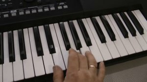Небольшое видео Korg PA300 vs Korg PA500 + Roland D50