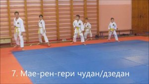 Кихон на оранжевый пояс (7 кю). Экзамен. kihon 7 kyu.