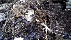 Компост из растительных остатков. Конечный продукт.