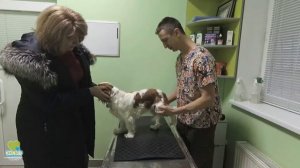 Обстеження пателу.