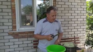 Квас из соцветий бузины