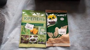 Чтобы рассада не перерастала