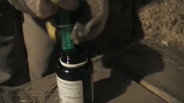 Санофлай. Обработка коровы от кровососов смотреть онлайн