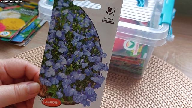 ОБЗОР СЕМЯН ОВОЩЕЙ И ЦВЕТОВ 2024! смотреть онлайн