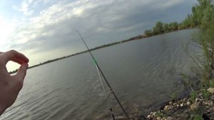 Ловля окуня на гематоген // Активный клев Окуня на Фидер весной