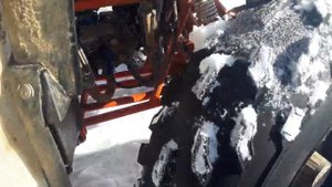 Kayo bull 2b (Kayo bull 150)