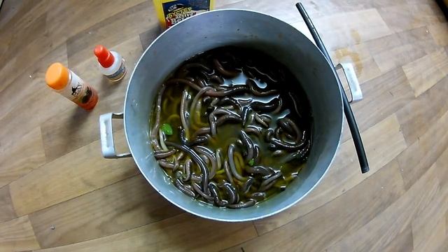 Сладкие кукурузные черви для рыбалки . смотреть онлайн