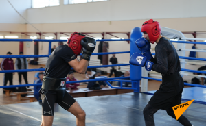 Дисциплина на первом месте: как узбекистанские боксеры готовятся к ЧМ
