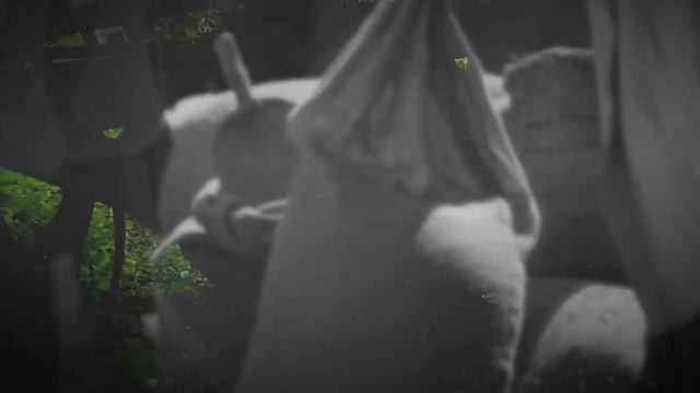 Как становятся географами? Петр Семенов-Тян-Шанский смотреть онлайн