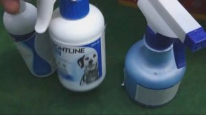 Орхидеи ХИЗИС.  Как я Выращиваю эти Орхидеи. Уход, полив, защита от клещей.