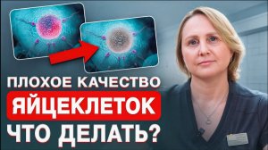 Как улучшить КАЧЕСТВО ЯЙЦЕКЛЕТОК?
