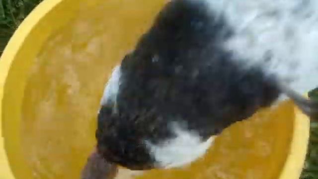 сортировать фотографии 061 смотреть онлайн