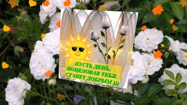 Удачного Денёчка Друзья!!!