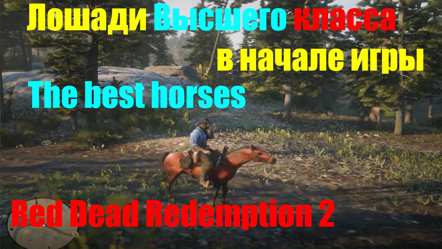 Red Dead Redemption 2 - Лошади Высшего класса в Начале игры