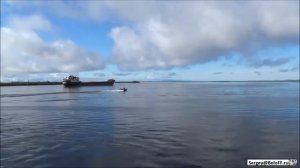 Соня Муратова - Шуми Амур