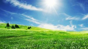 Данный Вид Связи Недоступен.MP3