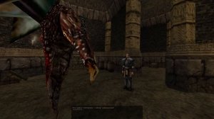 Оригинальная Gothic (Готика): Прохождение ЧАСТЬ 15 | DAMIANoNE