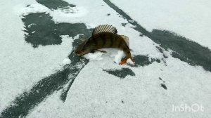 озеро Саяны, с.Ильинка.mp4