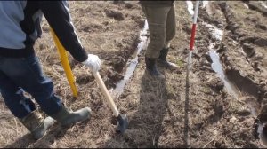 Вынос границ участка. Куплен у городской администрации