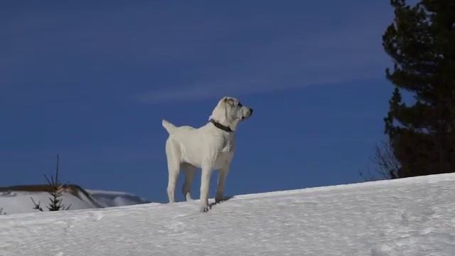 Гера. 5 месяцев. САО смотреть онлайн
