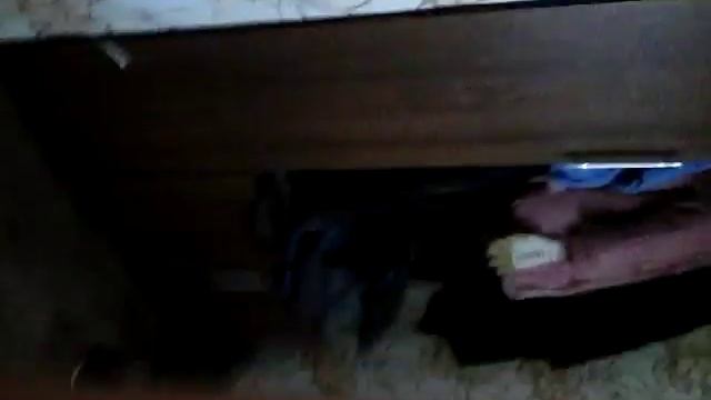 Как вызвать фею желании? Она реально пришла!? смотреть онлайн