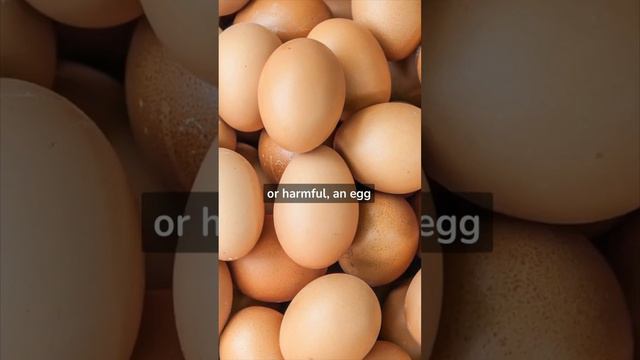 The Disturbing Reason Why Eggs Can Make Your Stomach Hurt, Egg Intolerance & Allergy