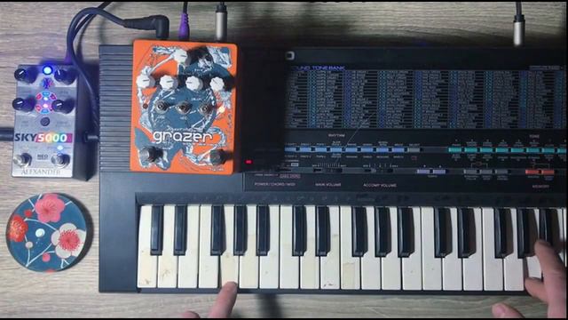Dwarfcraft Devices - Grazer & Alexander Pedals - Sky 5000 meets Casio Keyboard смотреть онлайн