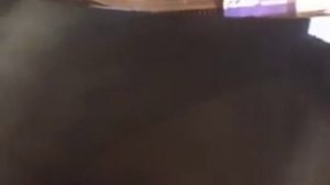 Как правильно покрыть автомобиль жидким стеклом willson