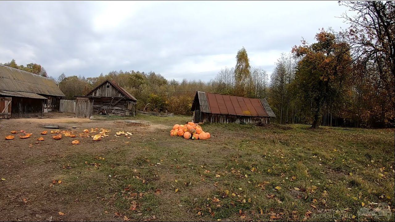 Ломаковка, осень 2019