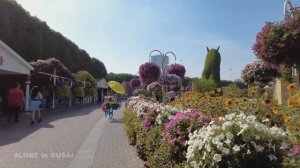 Dubai Miracle Garden Flower Paradise Walking Tour 4K ??