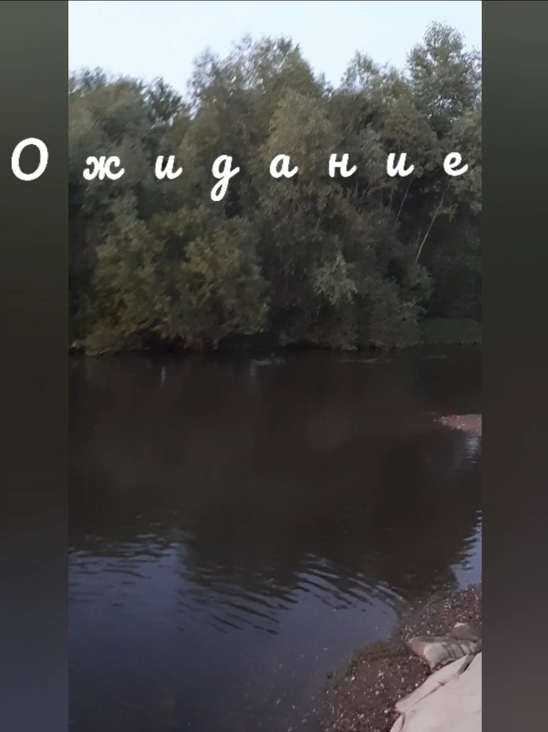 Ожидание и реальность