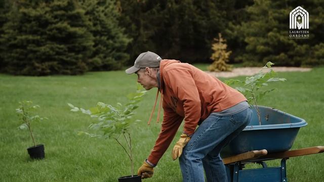 Planting the New Butternut Grove at Lauritzen Gardens смотреть онлайн