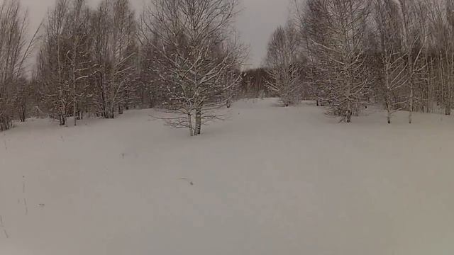 снегоход тикси 250 по лесу смотреть онлайн