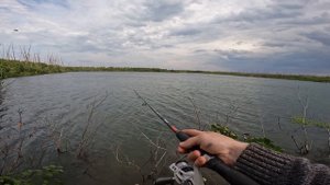 Рыба на каждый заброс ! Мощьный клев рыбы! Рыбалка в Норильске.